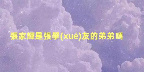 張家輝是張學(xué)友的弟弟嗎？張學(xué)友和張家輝是親兄弟